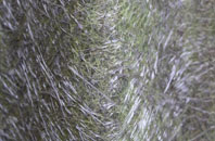 Osmondthorpe fibreglass roof work